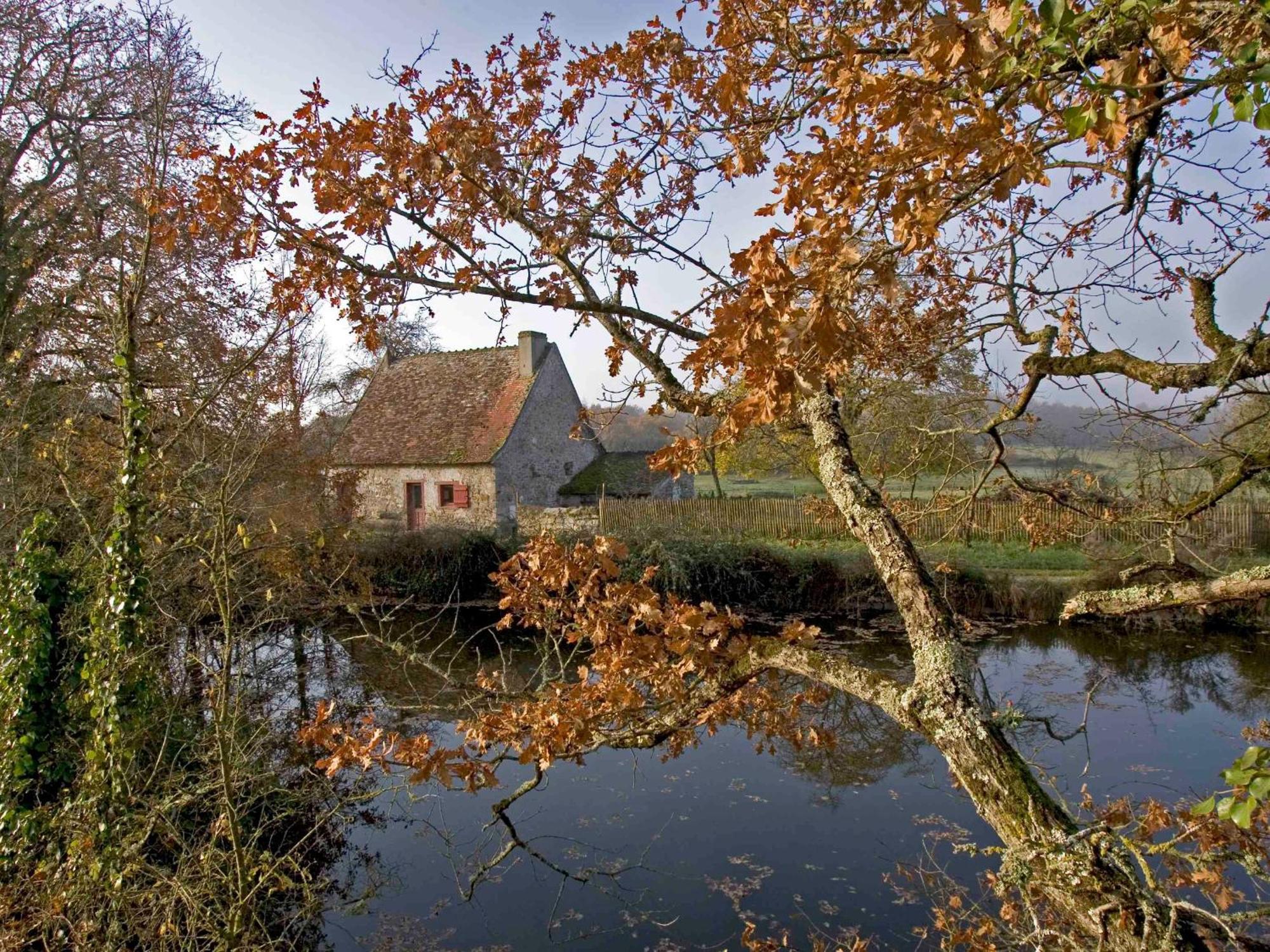 Sejour Nature Au Coeur Du Parc De La Brenne: Gite 4 Chambres, Jardin Et Terrasse, Proche De Rosnay - Fr-1-591-141 المظهر الخارجي الصورة